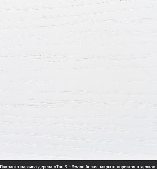 Стол раздвижной Фабрицио-1 исп. Круг 1000, Тон 7 (Морилка/Эмаль) в Перми - изображение 16