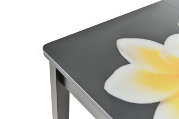 Кухонный раздвижной стол Гамбург исп. 1, ноги метал. крашеные №23 (Exclusive h140/черный) в Перми - предосмотр 9