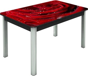 Обеденный раздвижной стол Гамбург исп. Мини, ноги метал. крашеные №23, Фотопечать (Цветы №39) в Березниках