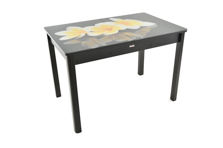 Кухонный стол раскладной Гамбург исп.2 ноги метал. крашеные №23, Фотопечать (Цветы №27) в Перми - изображение 6