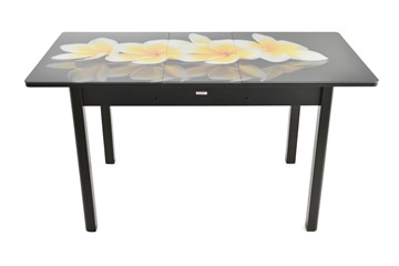 Кухонный стол раскладной Гамбург исп.2 ноги метал. крашеные №23, Фотопечать (Цветы №27) в Перми - предосмотр 7