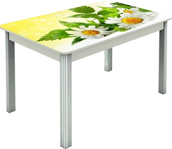 Обеденный раздвижной стол Гамбург исп.2 ноги метал. крашеные №23, Фотопечать (Цветы №3) в Перми