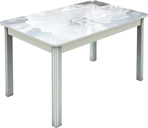 Кухонный стол раскладной Гамбург исп.2 ноги метал. крашеные №23, Фотопечать (Цветы №48) в Перми - изображение