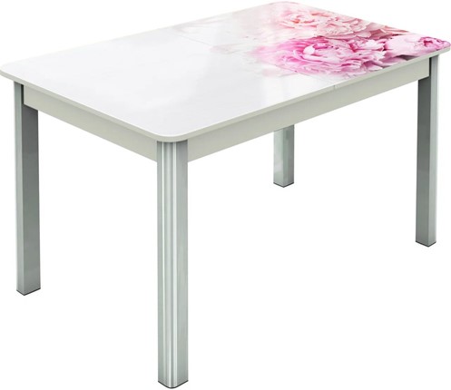 Кухонный раскладной стол Гамбург исп.2 ноги метал. крашеные №23, Фотопечать (Цветы №49) в Перми - изображение