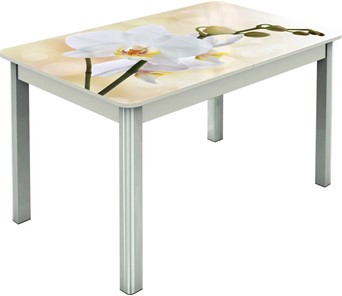 Кухонный раздвижной стол Гамбург исп.2 ноги метал. крашеные №23, Фотопечать (Цветы №5) в Березниках