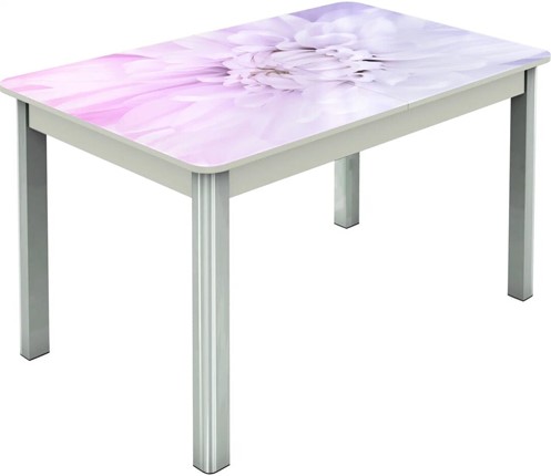 Раздвижной стол Гамбург исп.2 ноги метал. крашеные №23, Фотопечать (Цветы №54) в Перми - изображение