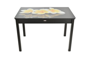 Кухонный стол раскладной Гамбург Мини, ноги метал. крашеные №23 (Exclusive h129/черный) в Перми - предосмотр 7
