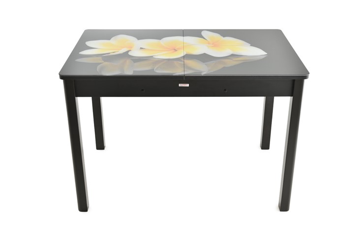 Кухонный стол раскладной Гамбург Мини, ноги метал. крашеные №23 (Exclusive h129/черный) в Перми - изображение 7