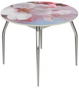 Кухонный стол раздвижной Ривьера - Круг, ноги метал. крашеные №24, ФП (Цветы №15) в Перми