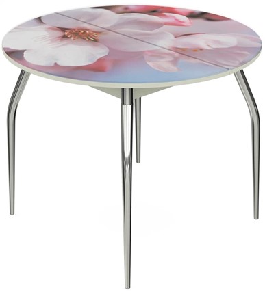 Кухонный стол раздвижной Ривьера - Круг, ноги метал. крашеные №24, ФП (Цветы №15) в Перми - изображение