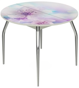 Кухонный раскладной стол Ривьера - Круг, ноги метал. крашеные №24, ФП (Цветы №40) в Кунгуре