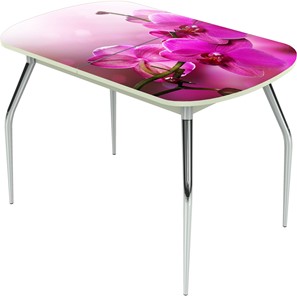 Кухонный стол раскладной Ривьера исп.1 ноги метал. крашеные №24 Фотопечать (Цветы №16) в Березниках