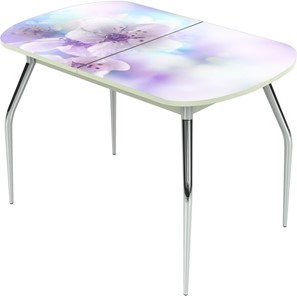 Обеденный раздвижной стол Ривьера исп.1 ноги метал. крашеные №24 Фотопечать (Цветы №40) в Перми