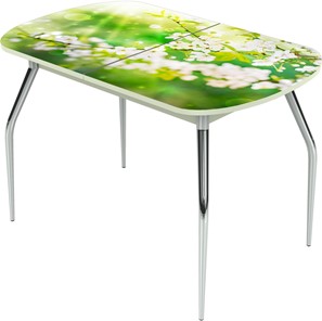 Обеденный раздвижной стол Ривьера исп.1 ноги метал. крашеные №24 Фотопечать (Цветы №45) в Перми