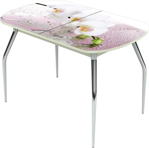 Обеденный раздвижной стол Ривьера исп.2 ноги метал. крашеные №24 Фотопечать (Цветы №20) в Перми