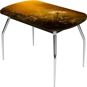 Обеденный раздвижной стол Ривьера исп.2 ноги метал. крашеные №24 Фотопечать (Цветы №43) в Соликамске