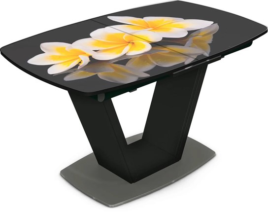 Кухонный стол раскладной Севилья Фотопечать (Цветы №11) в Перми - изображение