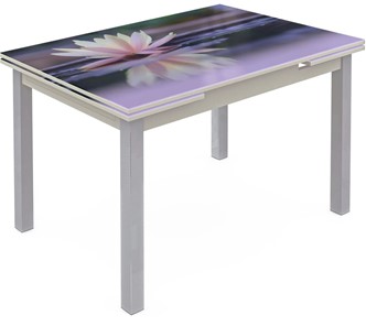 Кухонный стол раздвижной Шанхай исп. 1, ноги метал. крашеные №21 Фотопечать (Цветы №50) в Перми
