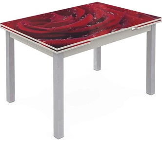 Кухонный стол раскладной Шанхай исп. 2, ноги метал. крашеные №21 Фотопечать (Цветы №39) в Березниках