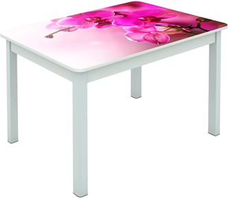 Обеденный стол Мюнхен исп. 1 ноги метал. крашеные №23 Фотопечать (Цветы №16) в Перми