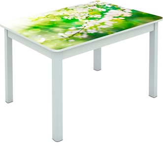 Обеденный стол Мюнхен исп. 1 ноги метал. крашеные №23 Фотопечать (Цветы №45) в Перми
