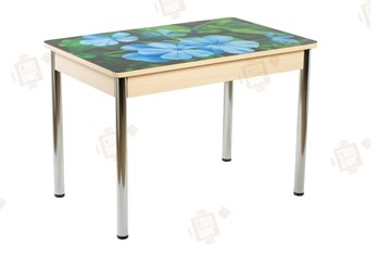 Кухонный стол раздвижной Айсберг-01 СТФ, дуб/фотопечать фиалка/ноги хром прямые круглые в Кунгуре