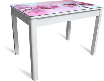Обеденный раздвижной стол Айсберг-01 СТФ, белое лдсп/орхидея/40 прямые массив белые в Чайковском