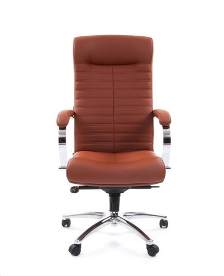 Офисное кресло CHAIRMAN 480 Экокожа Terra 111 (коричневая) в Чайковском - изображение 1