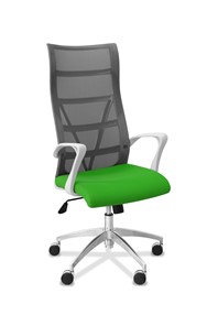 Офисное кресло для руководителя Топ X белый каркас, сетка/ткань TW / серая/салатовая в Кунгуре