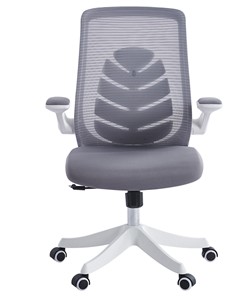Кресло CHAIRMAN 565, сетчатый акрил серый / полиэстер серый в Перми - предосмотр 1