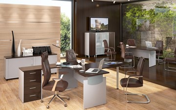 Комплект офисной мебели Skyland OFFIX-NEW для двух сотрудников и руководителя в Чайковском