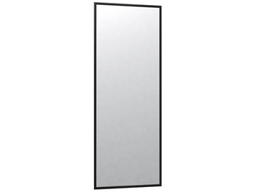 Зеркало навесное в гардероб Сельетта-6 черный (1100х400х9) в Березниках