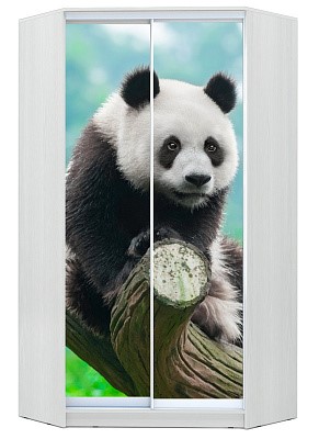 Шкаф угловой Хит-У-24-4-77-29, Панда, Белый в Перми - изображение