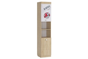 Распашной шкаф Энерджи, комбинированный в Перми - предосмотр