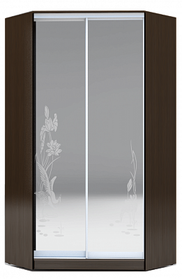 Угловой шкаф 2200х1103, ХИТ У-22-4-66-01, цапля, 2 зеркала, венге аруба в Перми - изображение