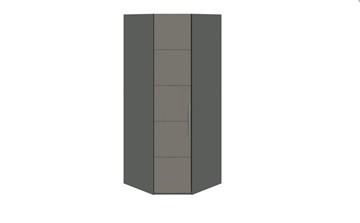Распашной угловой шкаф Наоми, цвет Фон серый, Джут СМ-208.07.06 в Чайковском