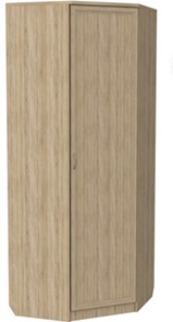 Распашной шкаф 400 угловой, цвет Дуб Сонома в Чайковском - предосмотр