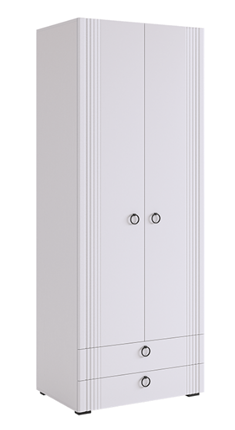 2-створчатый шкаф Ева 103.01 (белое дерево/белый матовый) в Перми - изображение