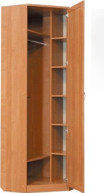 Распашной шкаф 402 угловой со штангой, цвет Венге в Перми - изображение 1