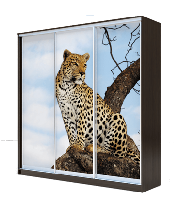 Шкаф 3-х створчатый 2300х2000х420, Леопард ХИТ 23-4-20-777-04 Венге Аруба в Перми - изображение