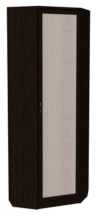 Распашной шкаф 402 угловой со штангой, цвет Венге в Перми - изображение