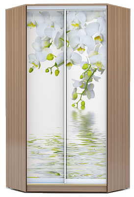 Угловой шкаф 2300х1103, ХИТ У-23-4-77-05, Белая орхидея, шимо темный в Перми - изображение