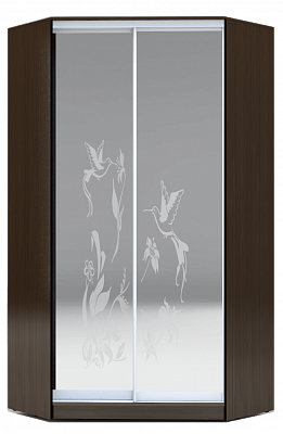 Шкаф угловой 2400х1103, ХИТ У-24-4-66-03, колибри, 2 зеркалами, венге в Перми - изображение