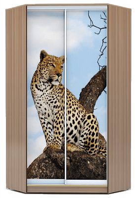 Шкаф 2200х1103, ХИТ У-22-4-77-04, Леопард, шимо темный в Перми - изображение