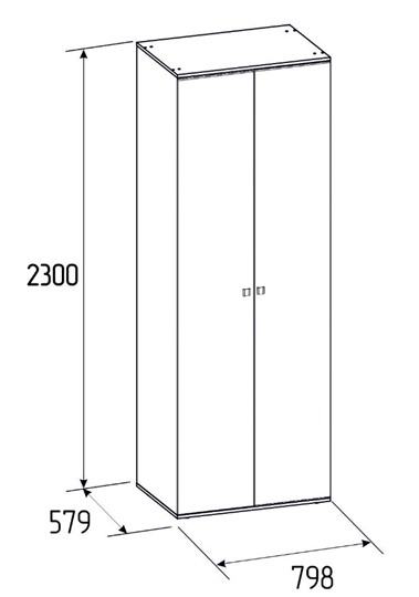 Шкаф двухдверный Neo 54, Фасад Стандарт + Стандарт в Перми - изображение 2