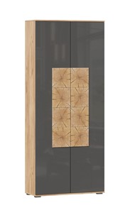 Шкаф двухстворчатый Фиджи с декоративными накладками 659.310, Дуб Золотой/Антрацит в Кунгуре
