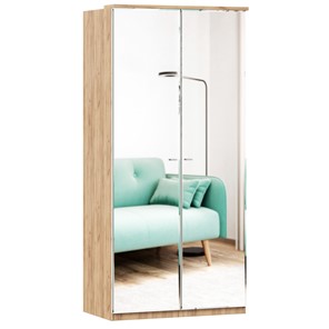 Шкаф двухстворчатый с 2-мя зеркалами Фиджи, 659.238, цвет белый в Березниках