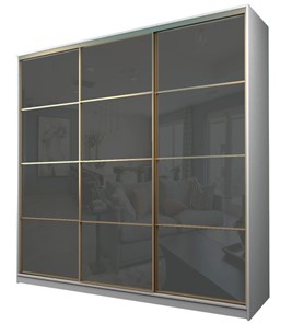 Шкаф 3-х дверный MAX МШ-25-6-24/2-222, Профиль Золото/Цвет Белый/Oraclal темно-серый в Перми