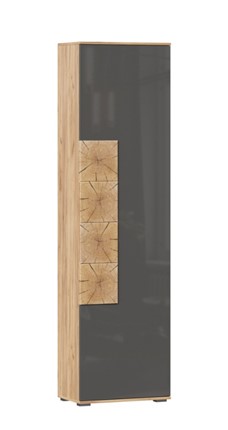 Шкаф одностворчатый Фиджи с декоративными накладками 659.300, Дуб Золотой/Антрацит в Березниках - изображение
