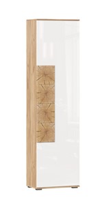 Шкаф одностворчатый Фиджи с декоративными накладками 659.300, Дуб Золотой/Белый в Перми